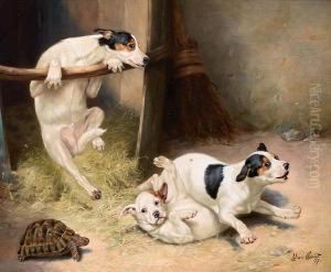 Rough And Tumble