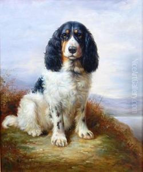 Portrait Of A Spaniel In A Landscape - view 1