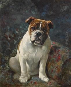 Doodles, Study Of A Bulldog