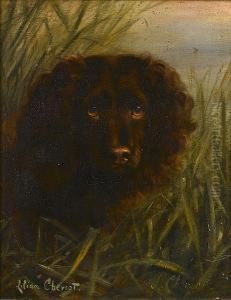 A Water Spaniel Among Reeds