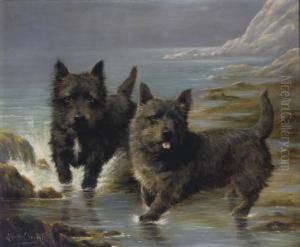 Two Cairn Terriers On The Shore by Lilian Cheviot