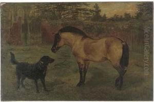 A Pony And A Labrador In A Walled Garden