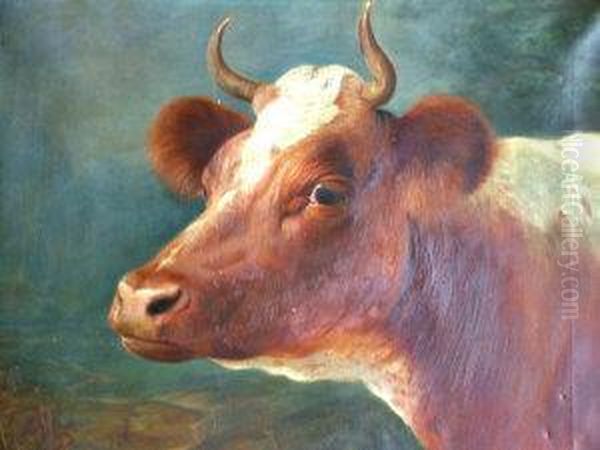 Portrait Of A Bull - view 1