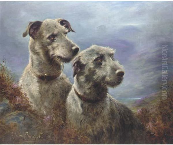 Deer Hounds - view 1