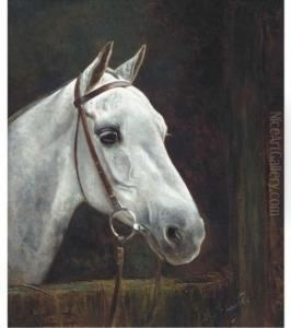 Colonel Heseltine's Polo Pony