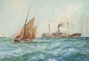 Sail and steam by William Minshall Birchall