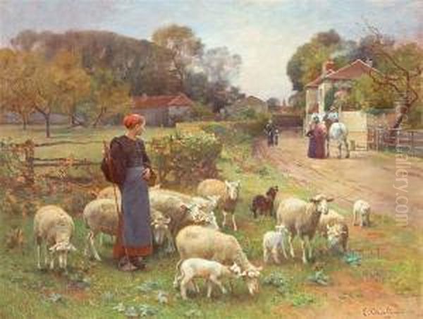 Tending The Flock - view 1