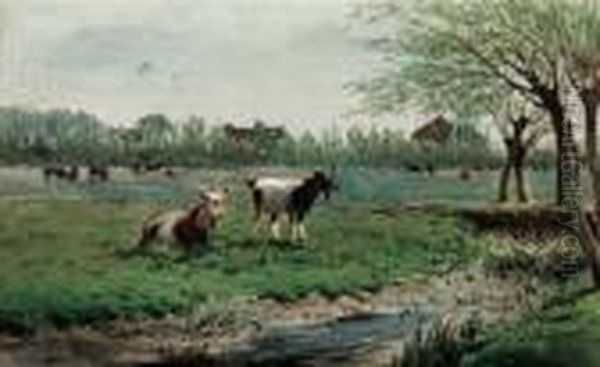 Pascolo - view 1