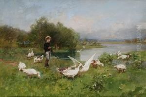 Young Boy Tending Geese Young Boy Tending Geese