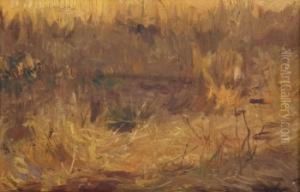 Paisaje by Eduardo Chicharro Y Aguera