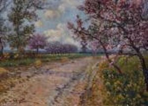 Chemin Borde D'arbres En Fleur Chemin Borde D'arbres En Fleur