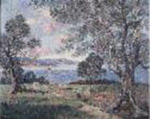 Paysage Du Midi Huile Sur Toile Signee En Bas A Gauche by Eugene Chigot