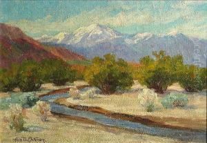 Desert Stream Desert Stream