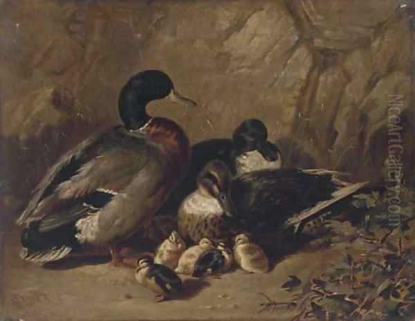 Ducks and ducklings - view 1