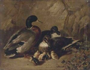 Ducks and ducklings by James Bradley
