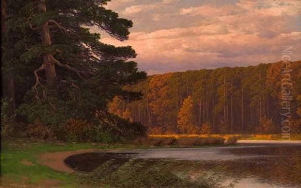 Lac En Foret - view 1