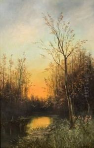 Paysage Au Coucher Du Soleil