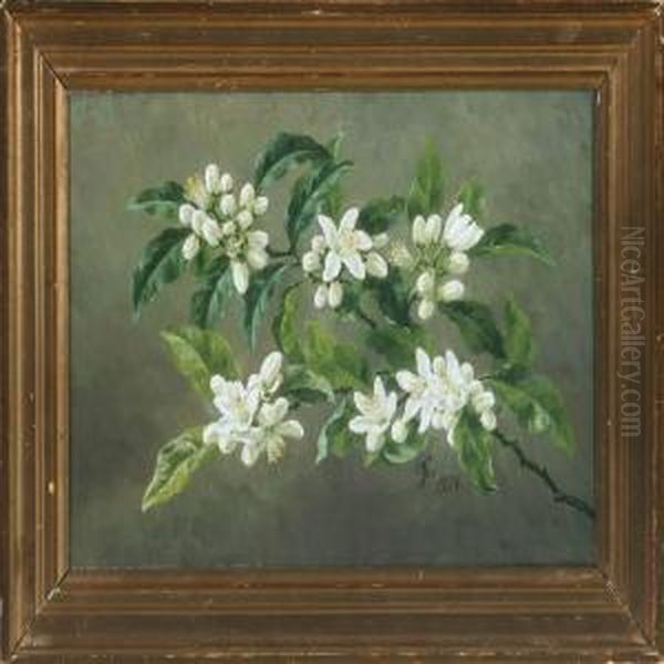 Branch Inbloom - view 1