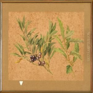 Blackthornbranch And Laurel Branch by Anthonie, Anthonore Christensen