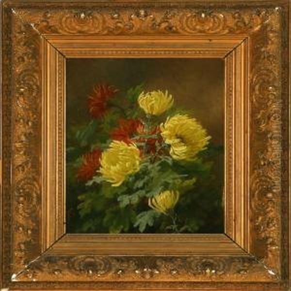Flowering Asters - view 1