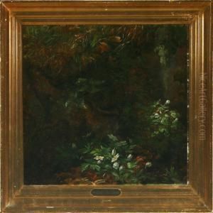 A Forest Floor With Anemones by Anthonie, Anthonore Christensen
