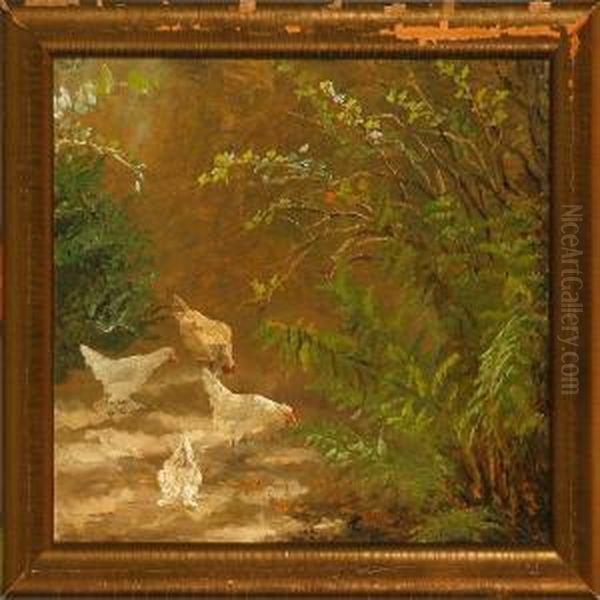 Chicken In A Garden - view 1