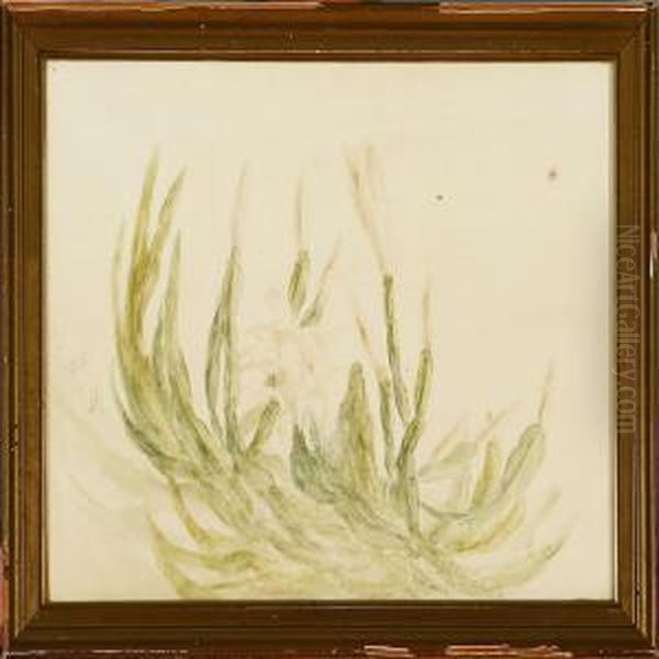 A Collection Of Five Flowers Studies - view 1