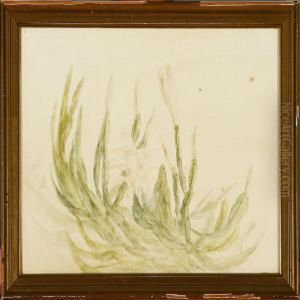 A Collection Of Five Flowers Studies by Anthonie, Anthonore Christensen