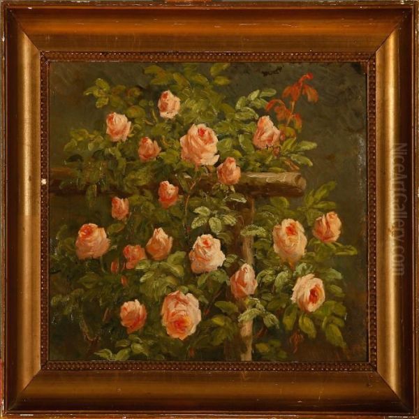 Pink Roses - view 1