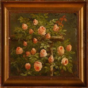 Pink Roses