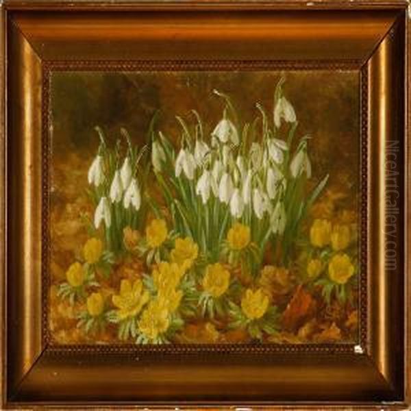 Flowers In A Forest Floor - view 1