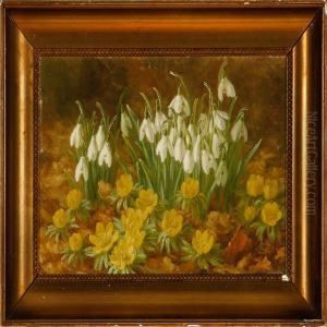 Flowers In A Forest Floor