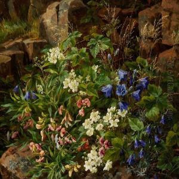 Forest Floor With Growing Harebell, Blooming Branches Of Blackberry And Sweet Pea - view 1