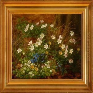 A Forest Floorwith Anemones And Other Spring Flowers by Anthonie, Anthonore Christensen