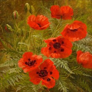 Garden Withpoppy Garden Withpoppy
