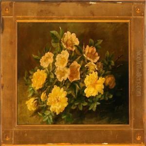Yellow Roses