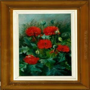 Red Poppies Red Poppies