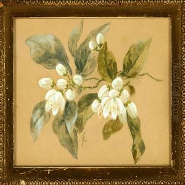 Two Flower Studies - view 1