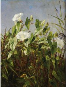 Morning Glories by Anthonie, Anthonore Christensen