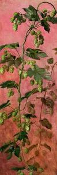 Hops In Bloom. Unsigned - view 1