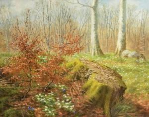 Forest Scenery With Anemones And Crocus. Signed Monogram 1917 by Anthonie, Anthonore Christensen
