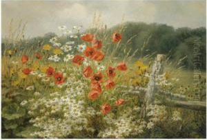 Poppies And Daisies by Anthonie, Anthonore Christensen