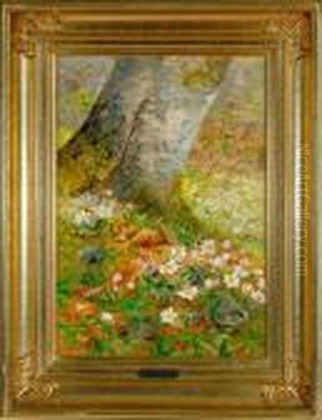 A Forest Floor - view 1