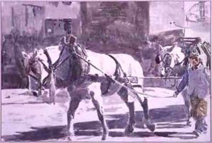 Two Percheron Horses by William G. Burn-Murdoch
