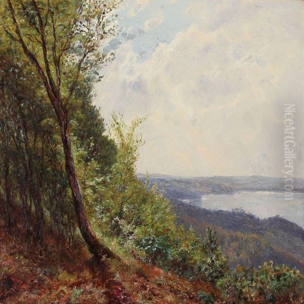 View From Jul Lake In Silkeborg, Denmark - view 1