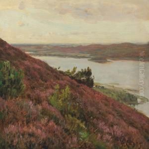 View Of The The Lakes At Silkeborg by Godfred B.W. Christensen