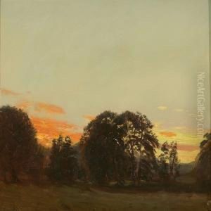 Summer Evening With Sunset Over A Forest Summer Evening With Sunset Over A Forest