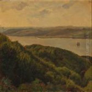 View From Vejle Fjord