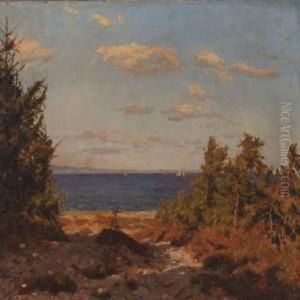 Eftermiddag Ved Hornbaek Strand