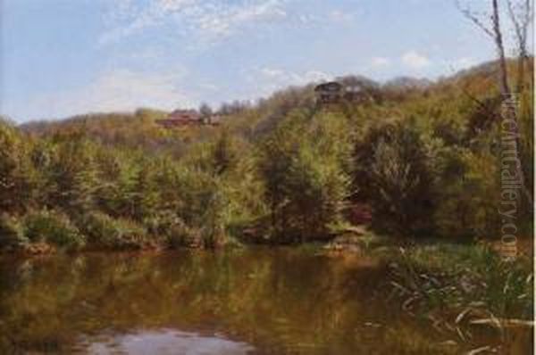 Le Lac En Foret - view 1